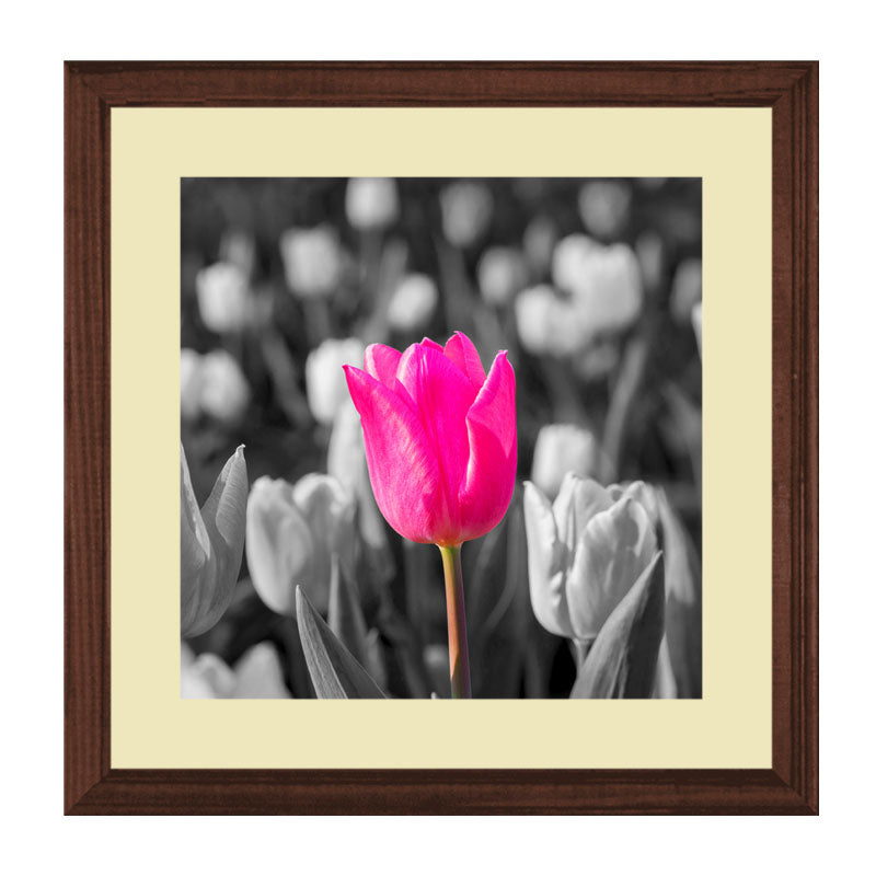Set of 2 Pink Elegance Tulip Wall Frames – Floral Art Duo