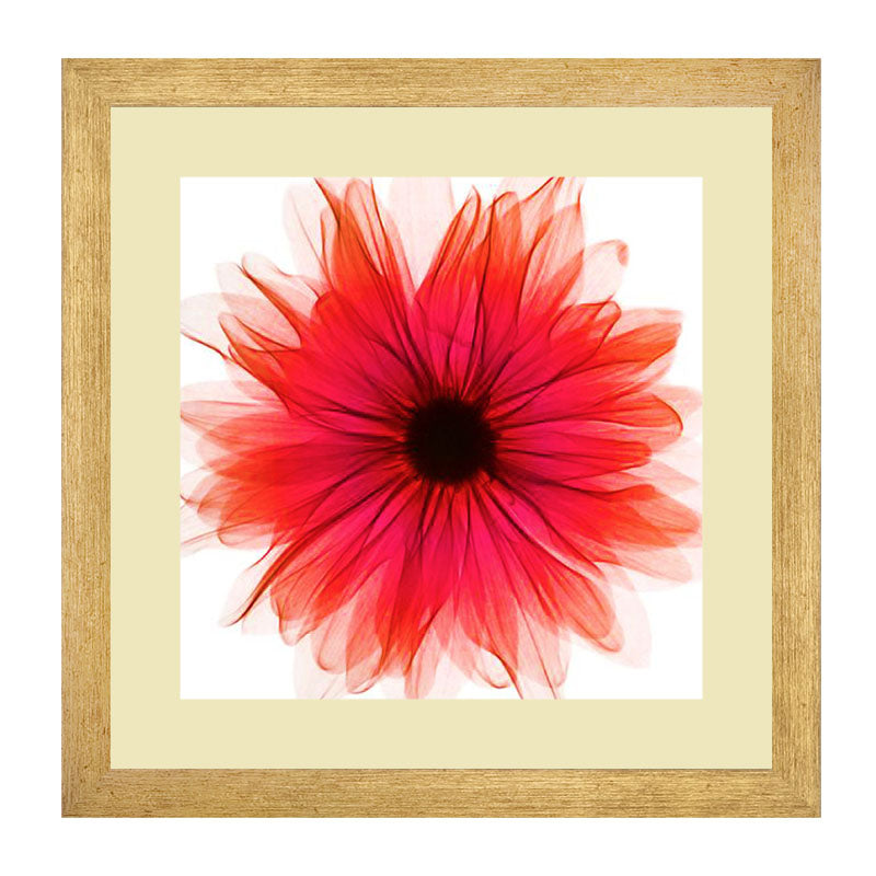 Set of 2 Petal Contrast Floral Wall Frames – Monochrome & Vibrant Flower