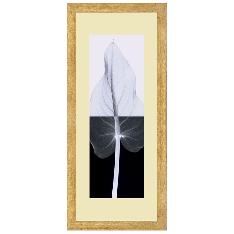 2 Piece Monochrome Leaves Wall Frame Set – Minimalist Black & White Botanical Art