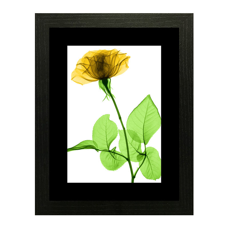 Set of 2 Botanical Bloom Wall Frames – Yellow Floral Prints