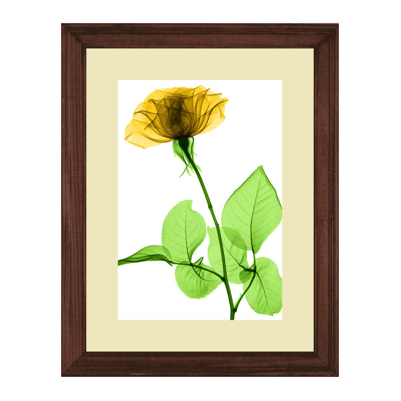 Set of 2 Botanical Bloom Wall Frames – Yellow Floral Prints