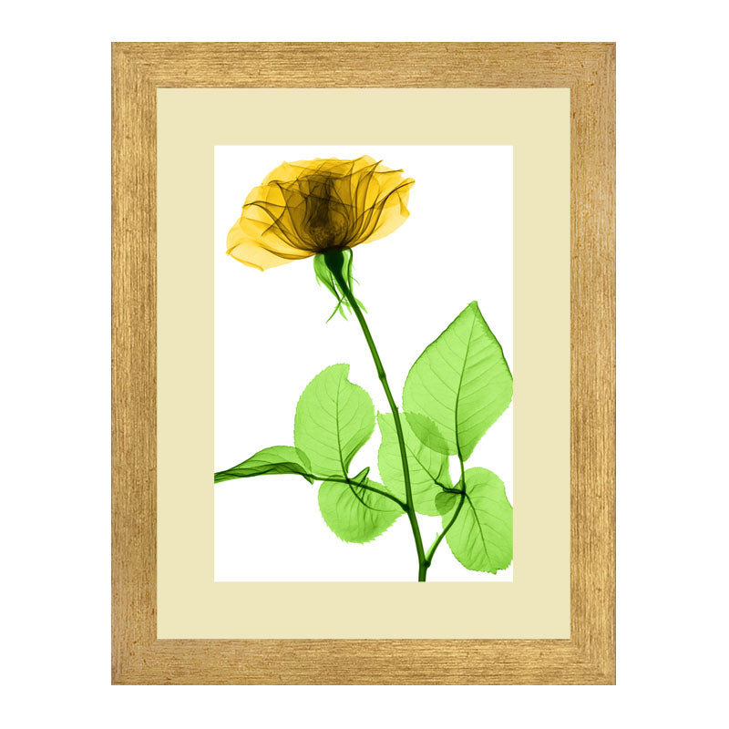 Set of 2 Botanical Bloom Wall Frames – Yellow Floral Prints