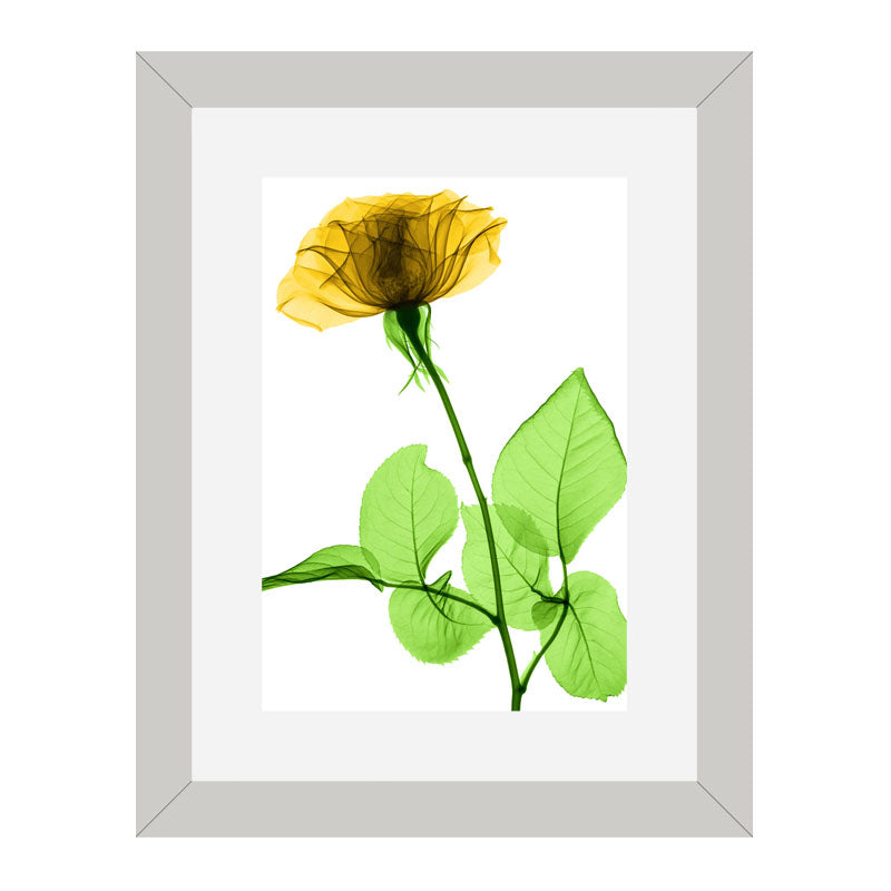 Set of 2 Botanical Bloom Wall Frames – Yellow Floral Prints