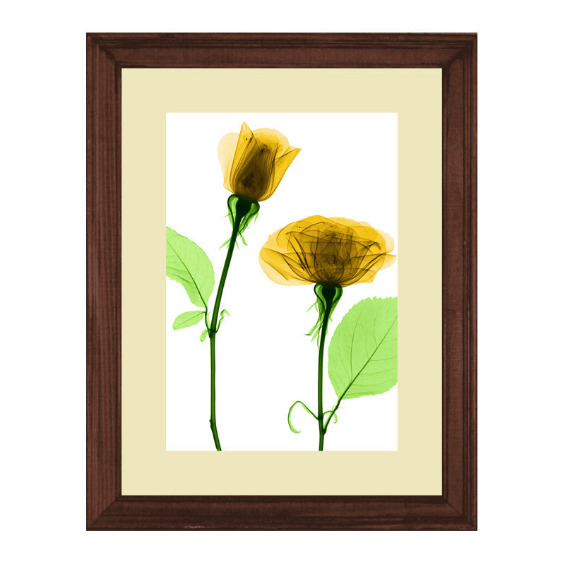 Set of 2 Botanical Bloom Wall Frames – Yellow Floral Prints