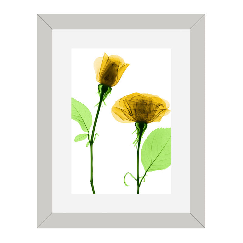 Set of 2 Botanical Bloom Wall Frames – Yellow Floral Prints