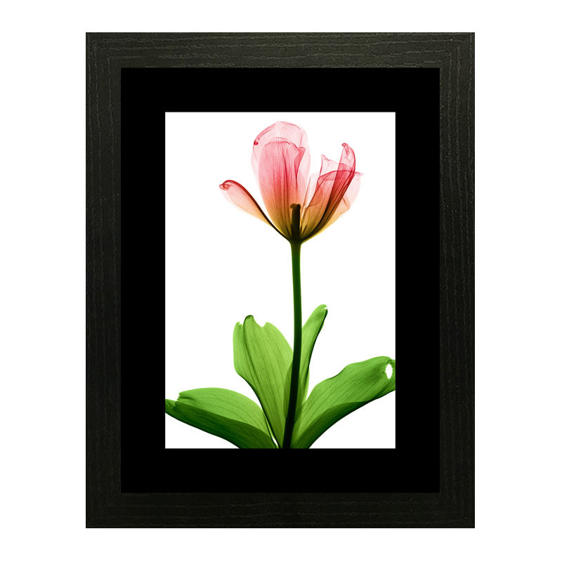 Set of 2 Soft Pink Floral Wall Frames – Watercolor Flower Art