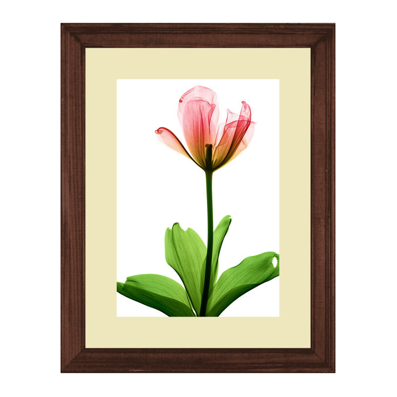 Set of 2 Soft Pink Floral Wall Frames – Watercolor Flower Art