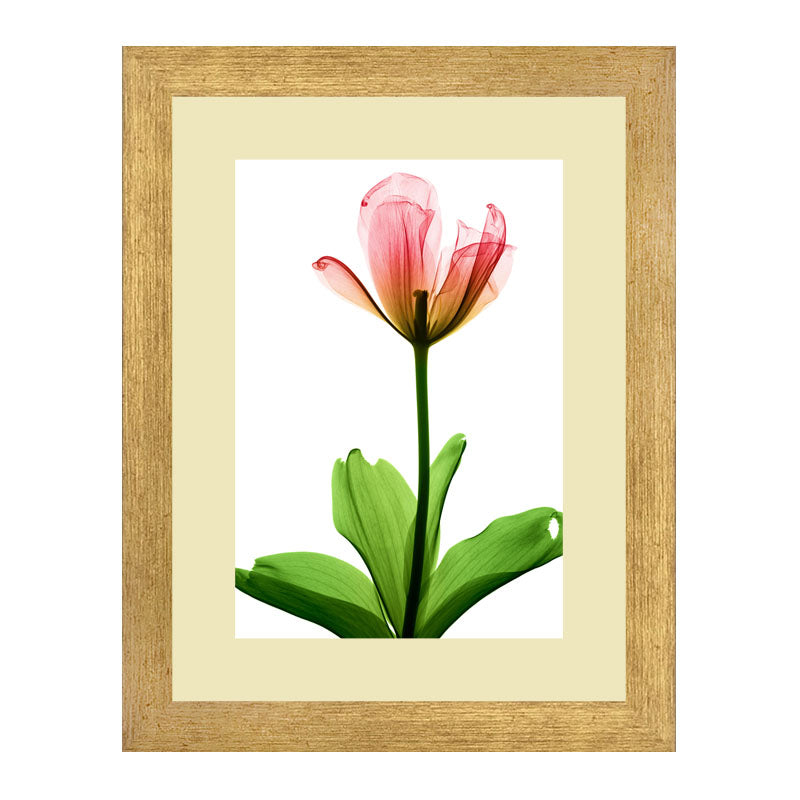 Set of 2 Soft Pink Floral Wall Frames – Watercolor Flower Art
