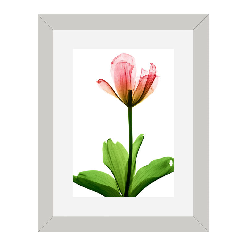 Set of 2 Soft Pink Floral Wall Frames – Watercolor Flower Art
