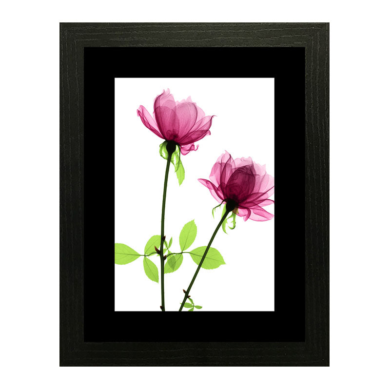 Set of 2 Soft Pink Floral Wall Frames – Watercolor Flower Art