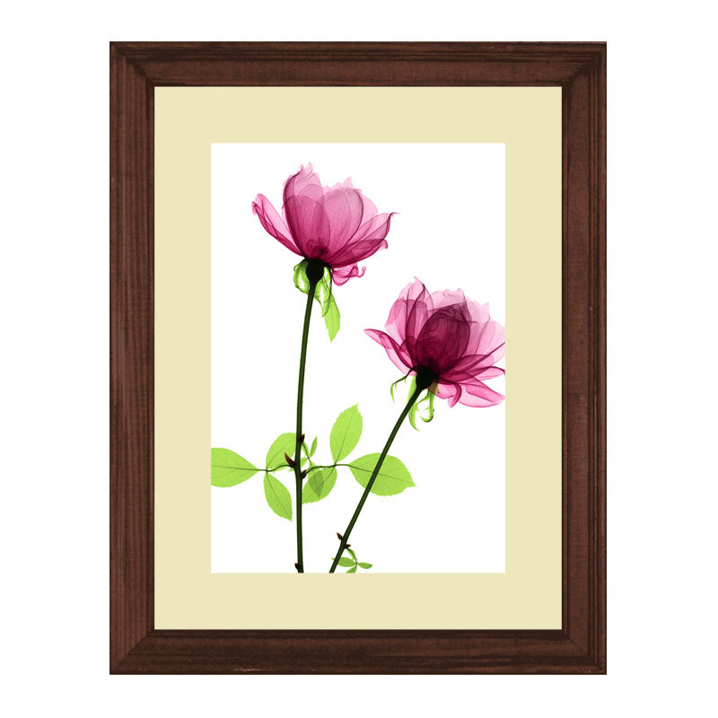 Set of 2 Soft Pink Floral Wall Frames – Watercolor Flower Art