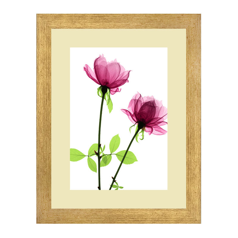 Set of 2 Soft Pink Floral Wall Frames – Watercolor Flower Art