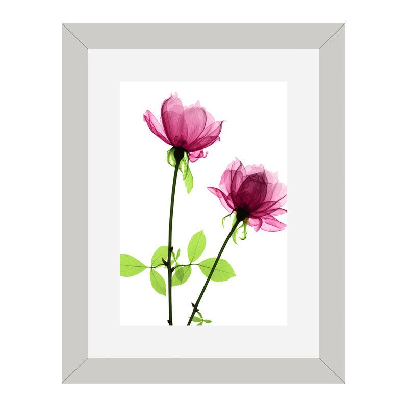 Set of 2 Soft Pink Floral Wall Frames – Watercolor Flower Art