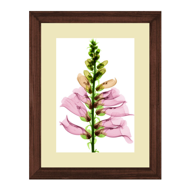 Set of 2 Floral Stem Wall Frames – Pink & Peach Blooms