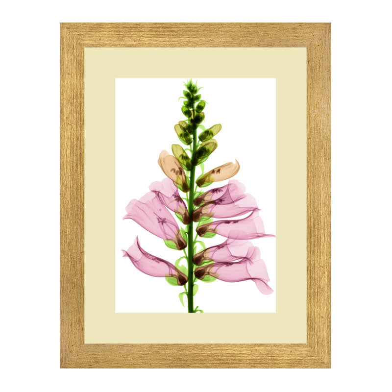 Set of 2 Floral Stem Wall Frames – Pink & Peach Blooms