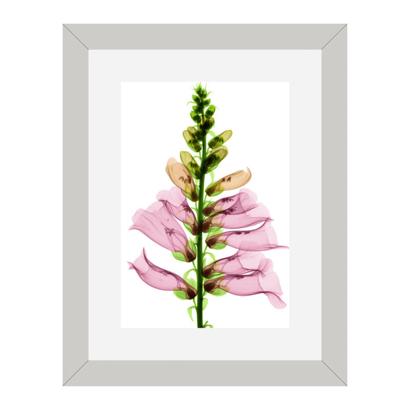 Set of 2 Floral Stem Wall Frames – Pink & Peach Blooms