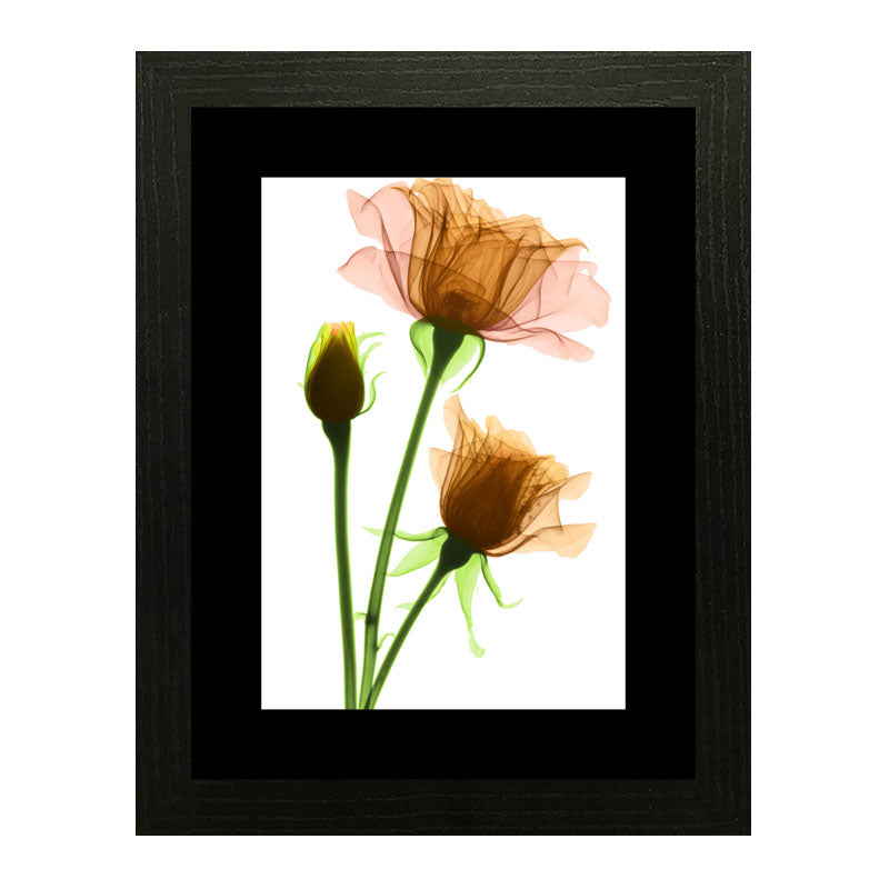 Set of 2 Floral Stem Wall Frames – Pink & Peach Blooms