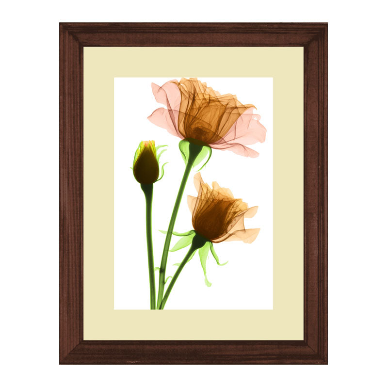 Set of 2 Floral Stem Wall Frames – Pink & Peach Blooms