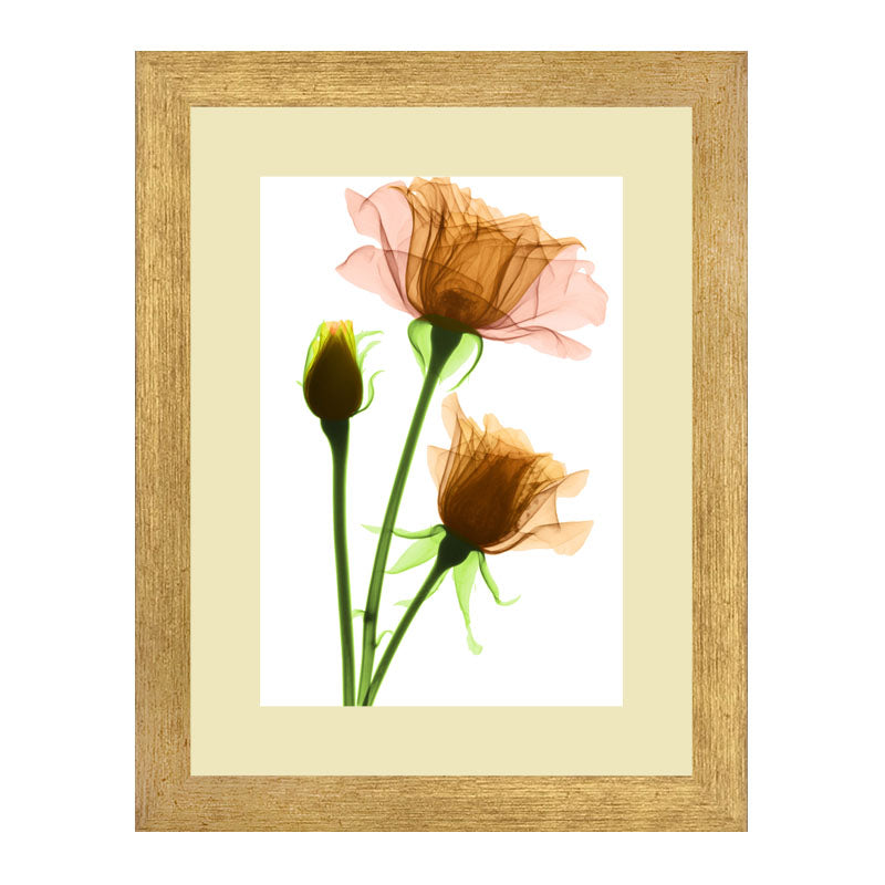 Set of 2 Floral Stem Wall Frames – Pink & Peach Blooms