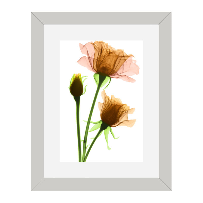 Set of 2 Floral Stem Wall Frames – Pink & Peach Blooms