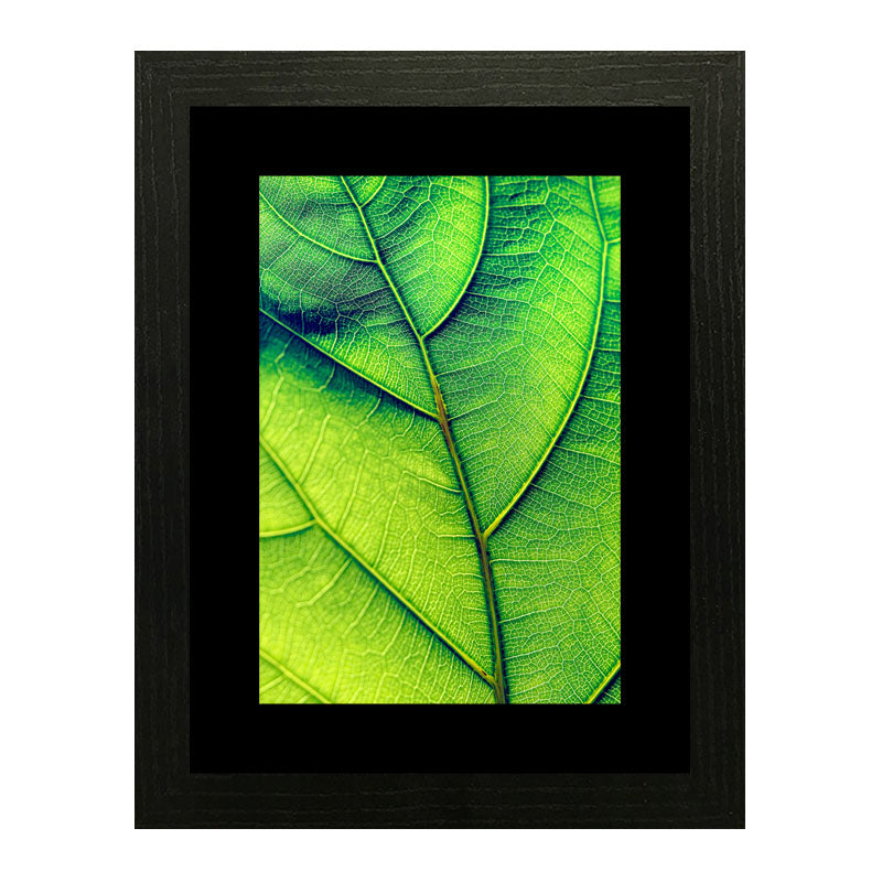 2 Piece Nature Texture Wall Frames – Close-Up Leaf Prints