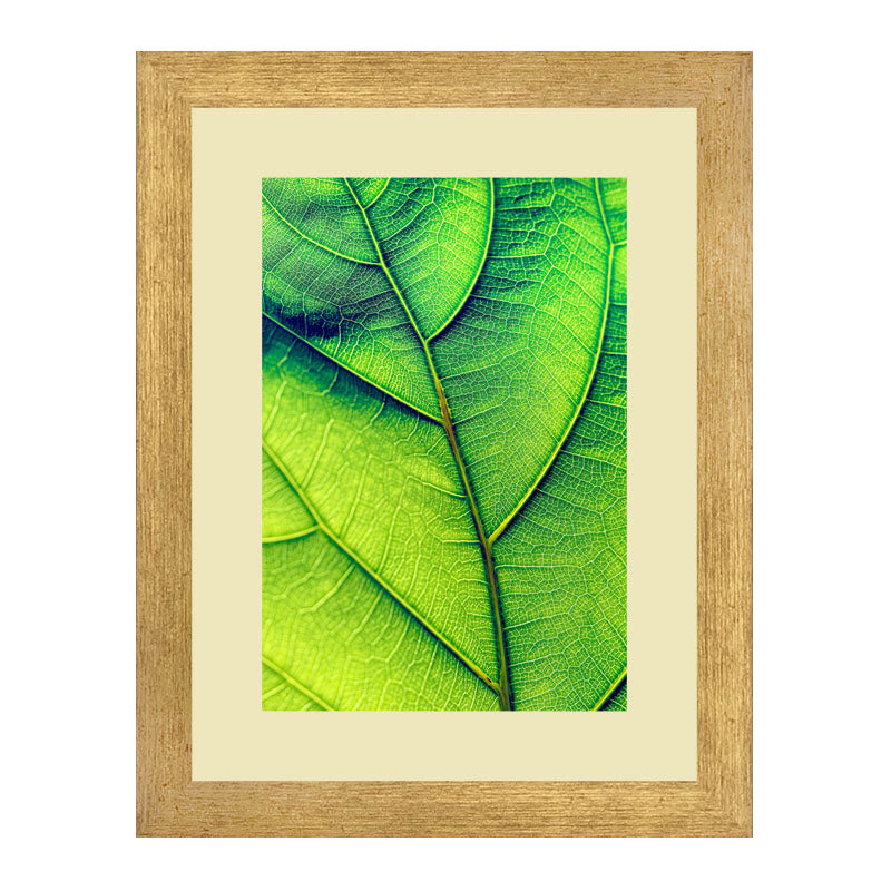 2 Piece Nature Texture Wall Frames – Close-Up Leaf Prints