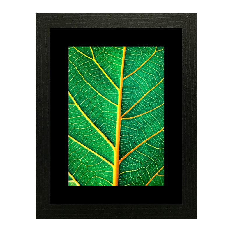 2 Piece Nature Texture Wall Frames – Close-Up Leaf Prints