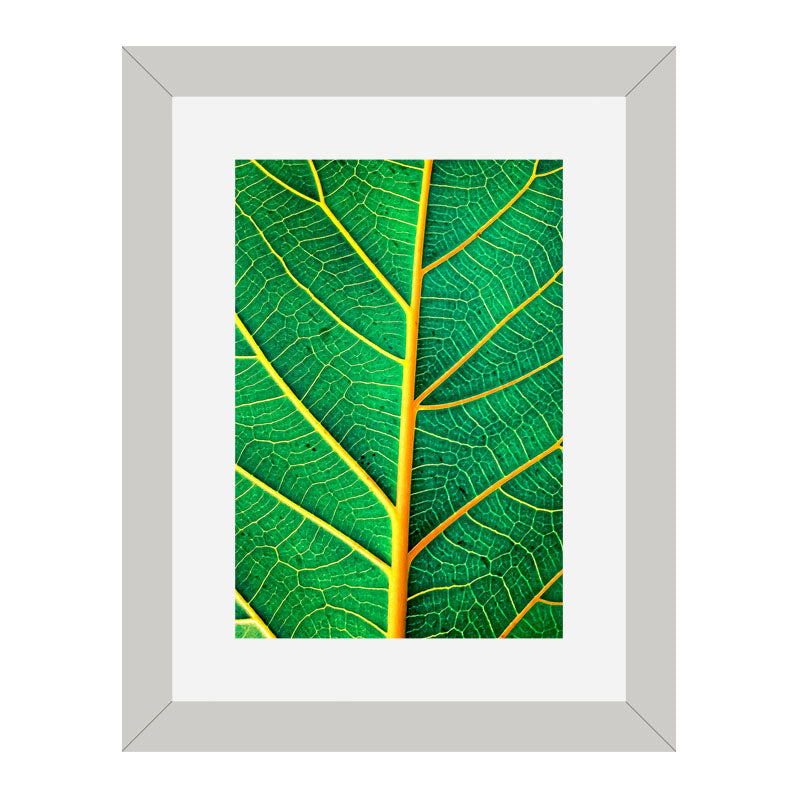 2 Piece Nature Texture Wall Frames – Close-Up Leaf Prints