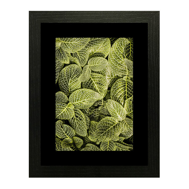 Set of 2 Forest Leaf Wall Frames – Patterned Foliage Prints