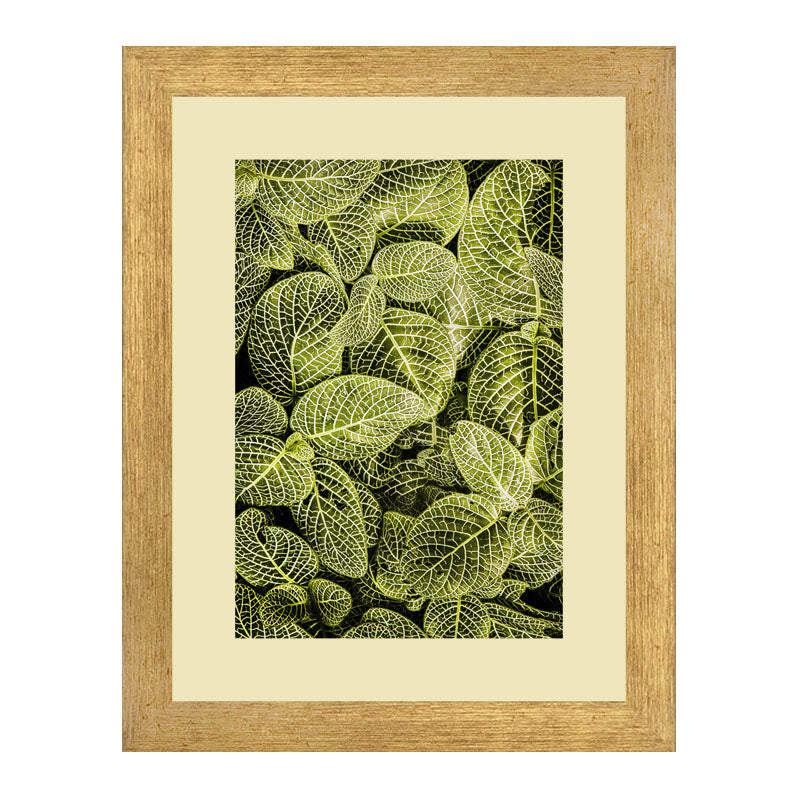 Set of 2 Forest Leaf Wall Frames – Patterned Foliage Prints