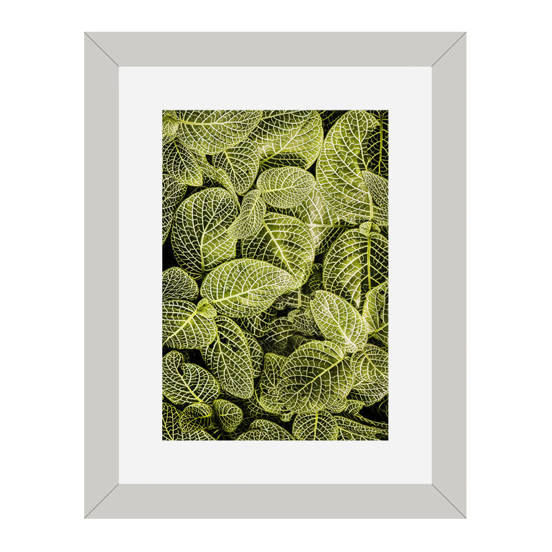 Set of 2 Forest Leaf Wall Frames – Patterned Foliage Prints