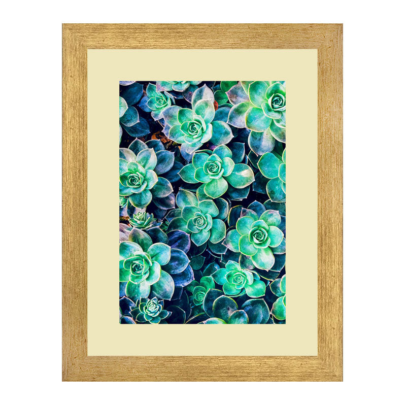 Set of 2 Succulent Bloom Wall Frames – Colorful Plant Art