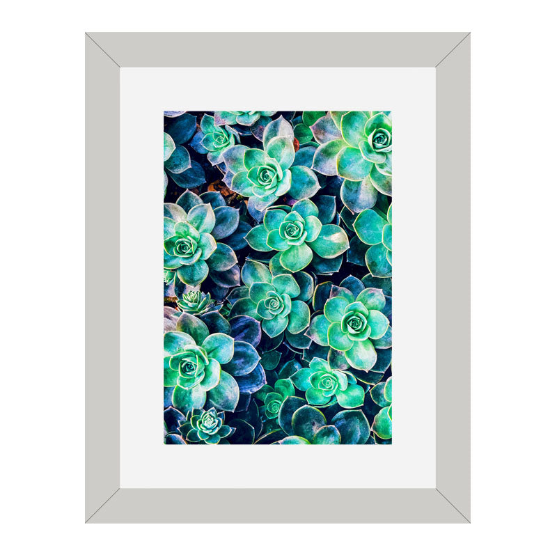 Set of 2 Succulent Bloom Wall Frames – Colorful Plant Art