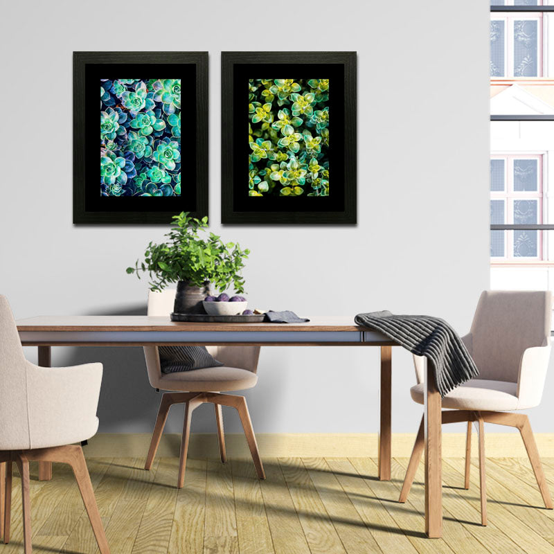 Set of 2 Succulent Bloom Wall Frames – Colorful Plant Art