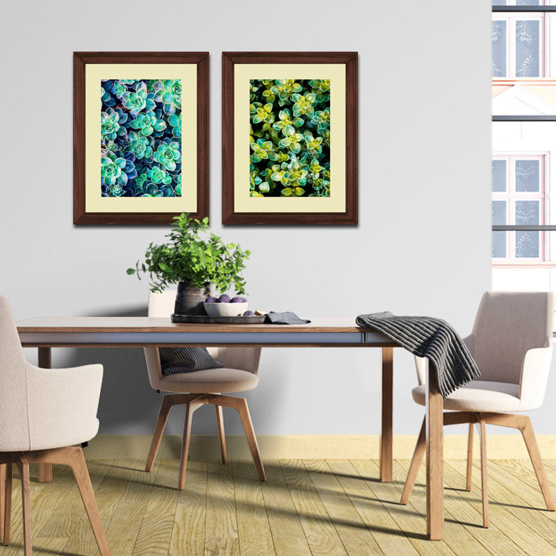 Set of 2 Succulent Bloom Wall Frames – Colorful Plant Art