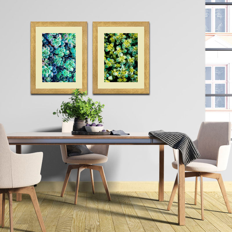 Set of 2 Succulent Bloom Wall Frames – Colorful Plant Art