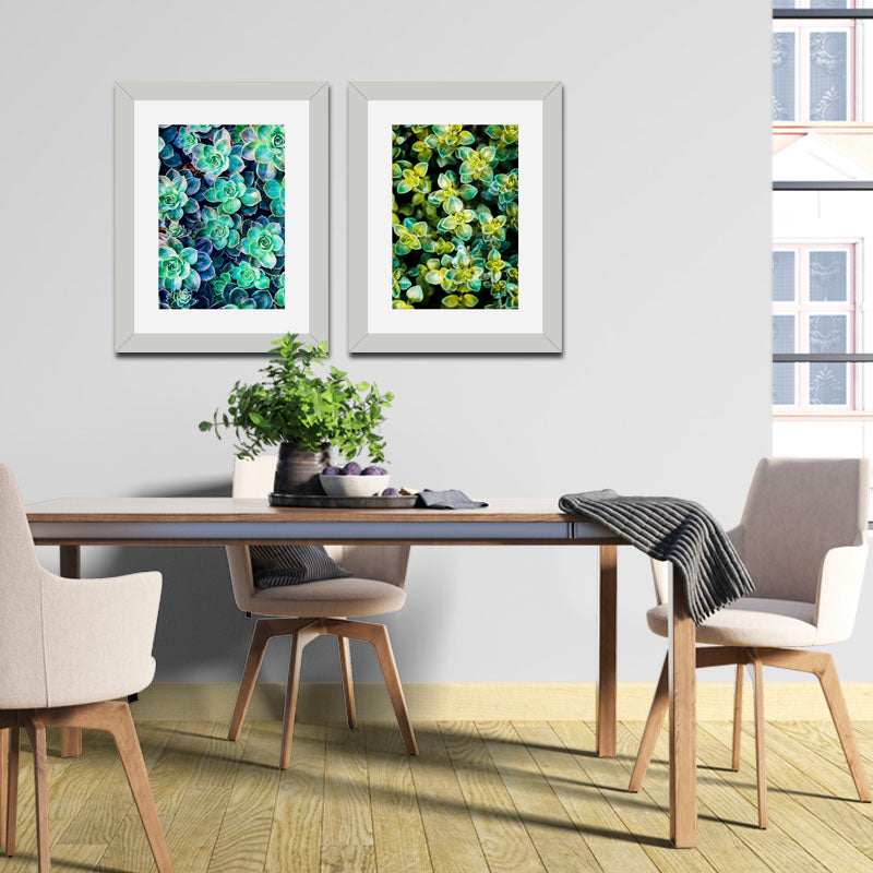 Set of 2 Succulent Bloom Wall Frames – Colorful Plant Art