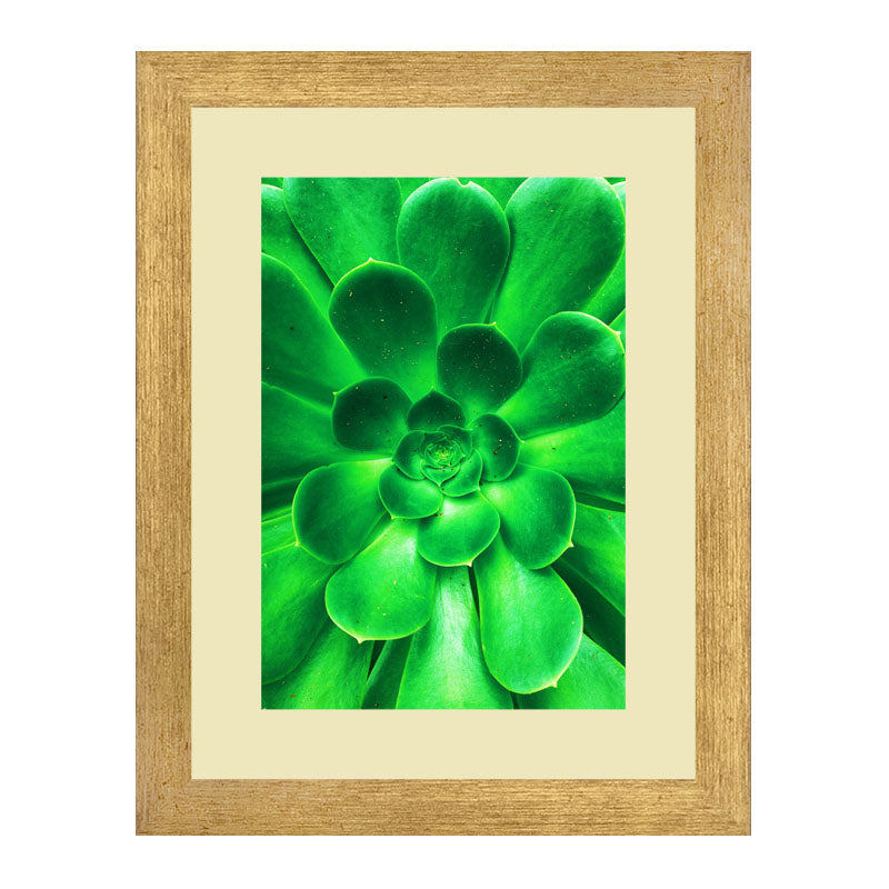 Set of 2 Leaf Whirl Wall Frames – Spiral Green Plant Art