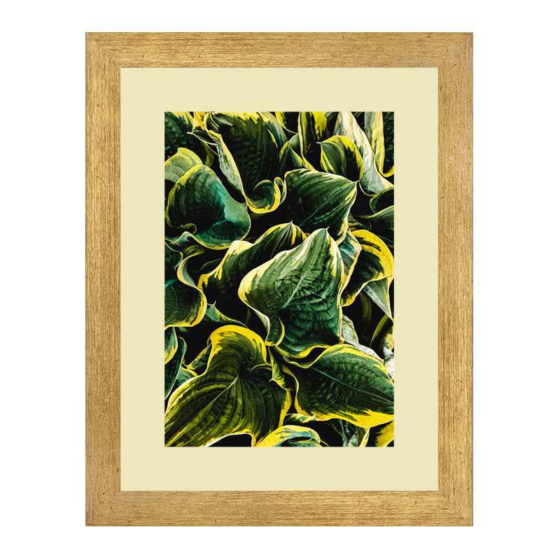 Set of 2 Botanical Texture Wall Frames – Nature Pattern Closeups