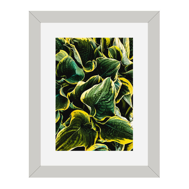 Set of 2 Botanical Texture Wall Frames – Nature Pattern Closeups