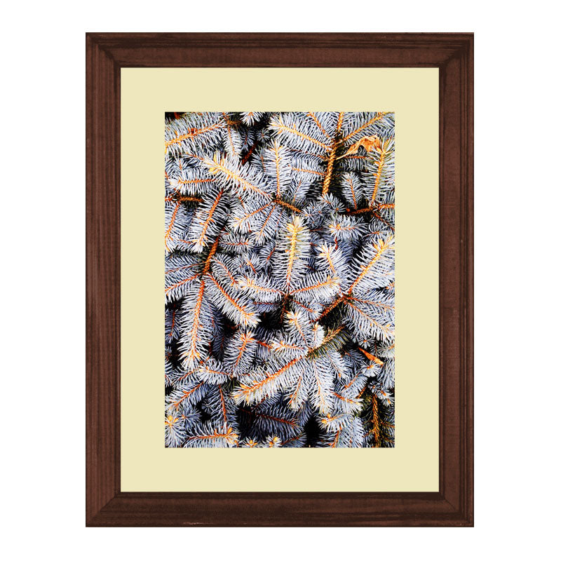 Set of 2 Botanical Texture Wall Frames – Nature Pattern Closeups
