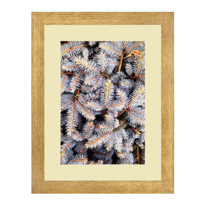 Set of 2 Botanical Texture Wall Frames – Nature Pattern Closeups