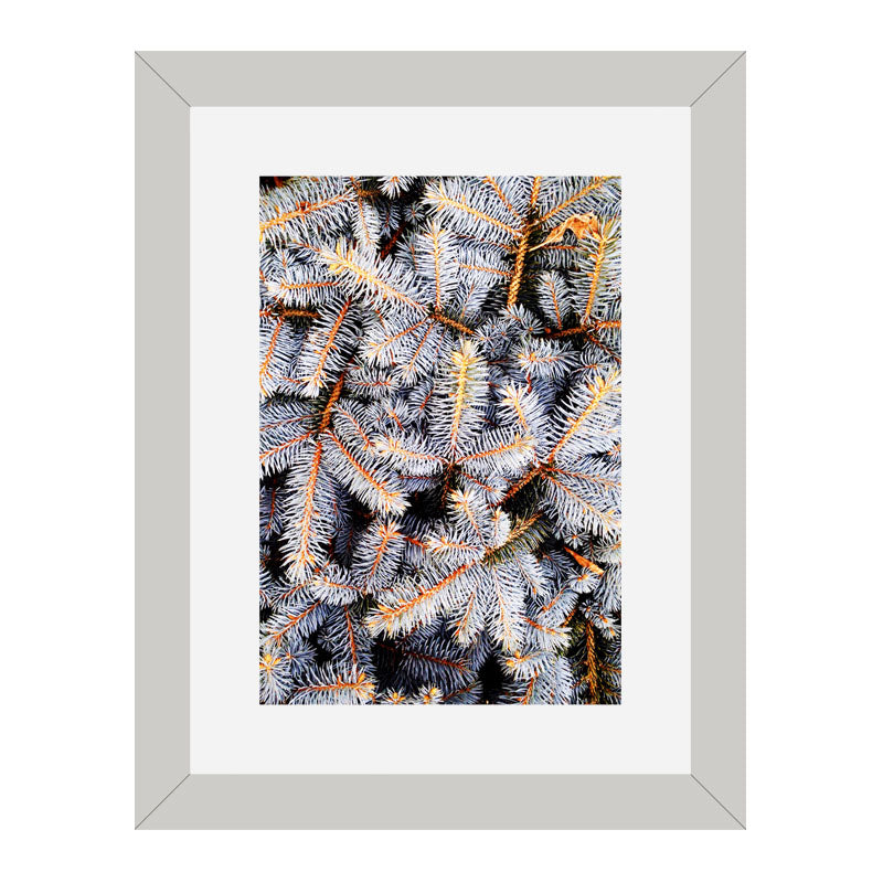 Set of 2 Botanical Texture Wall Frames – Nature Pattern Closeups