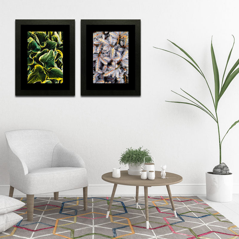 Set of 2 Botanical Texture Wall Frames – Nature Pattern Closeups