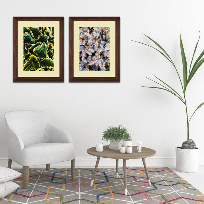 Set of 2 Botanical Texture Wall Frames – Nature Pattern Closeups