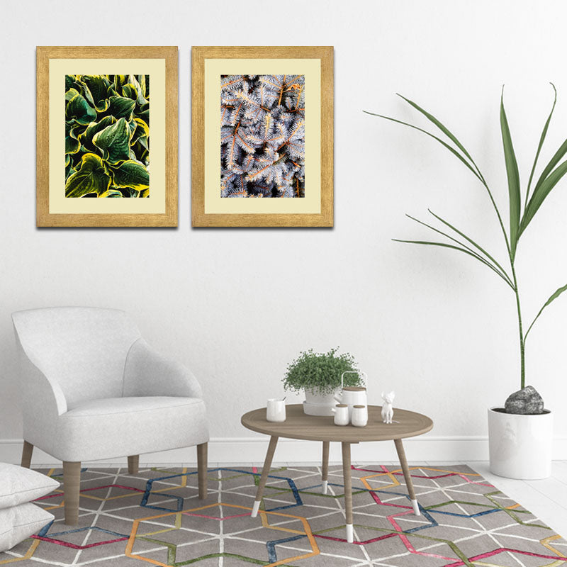 Set of 2 Botanical Texture Wall Frames – Nature Pattern Closeups