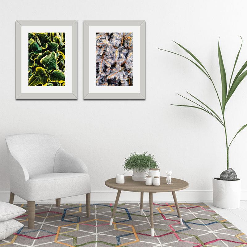 Set of 2 Botanical Texture Wall Frames – Nature Pattern Closeups