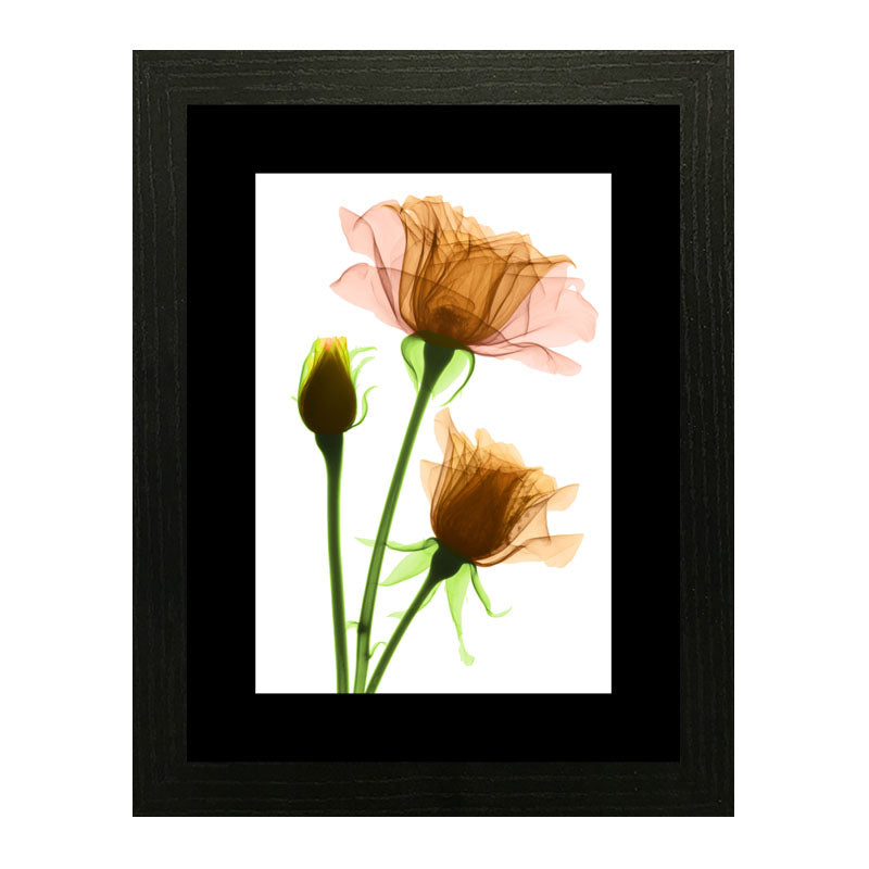 3 Piece Botanical Bloom Wall Frame Set – Pink, Yellow & Green Flowers