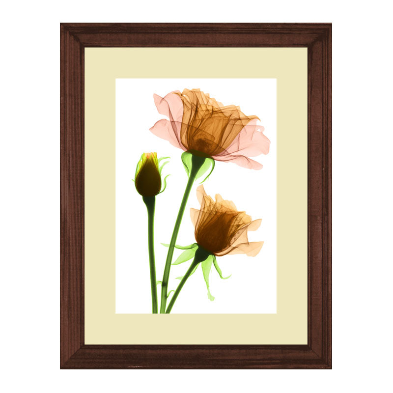 3 Piece Botanical Bloom Wall Frame Set – Pink, Yellow & Green Flowers