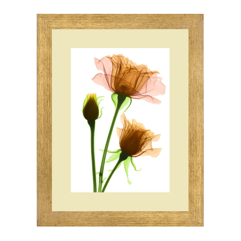 3 Piece Botanical Bloom Wall Frame Set – Pink, Yellow & Green Flowers